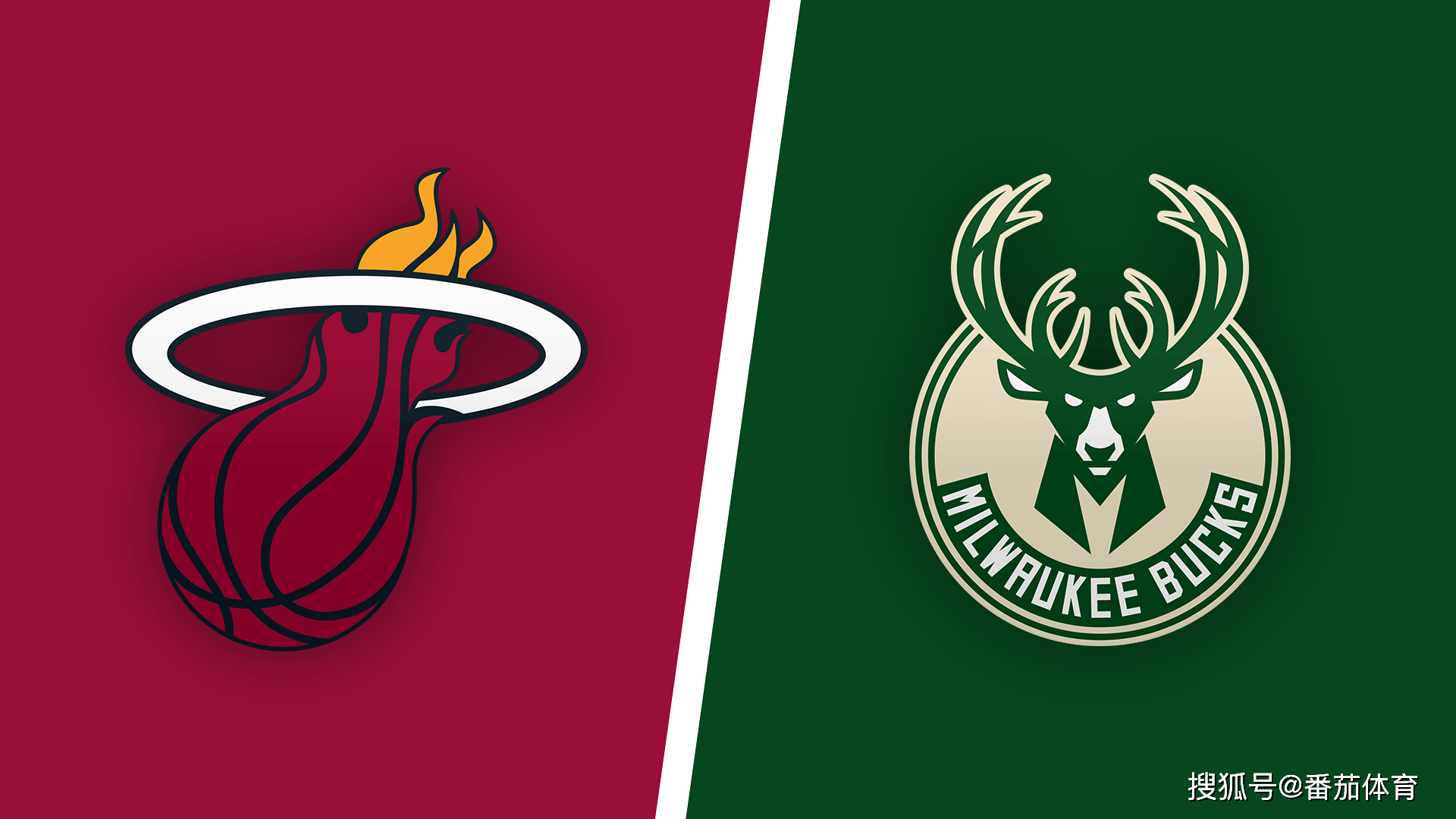 这一言论不 这一言论不