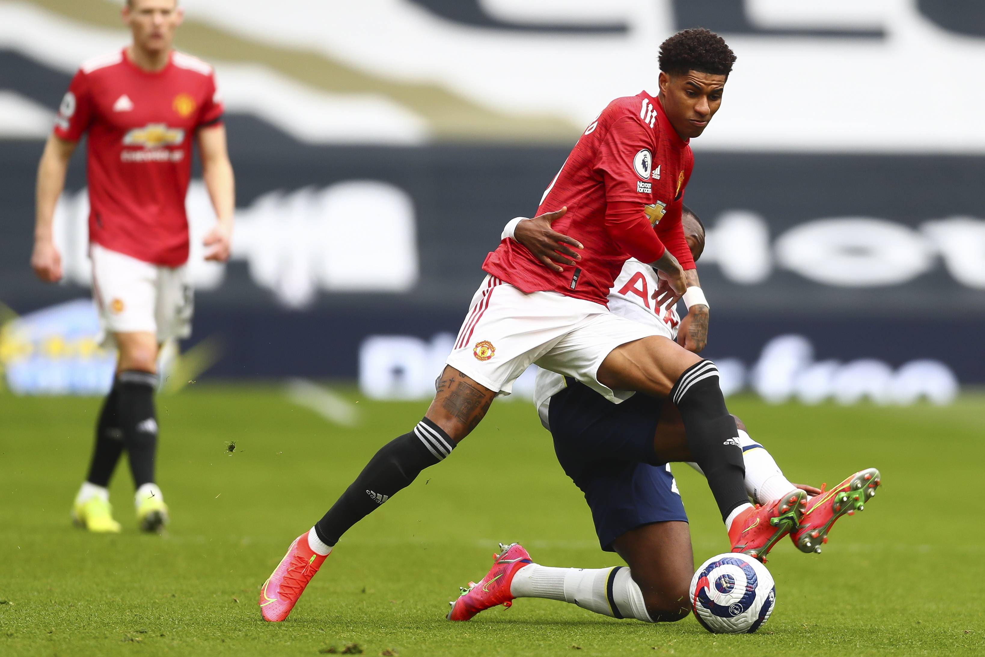 体育园的整 体育园的整